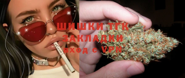 соль ск Верхний Тагил