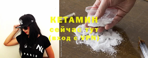 стаф Верея