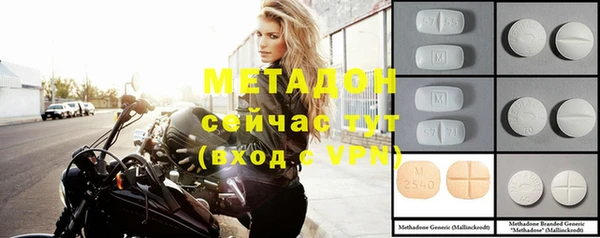 стаф Верея