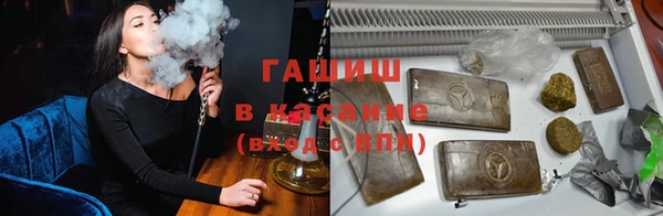 стаф Верея