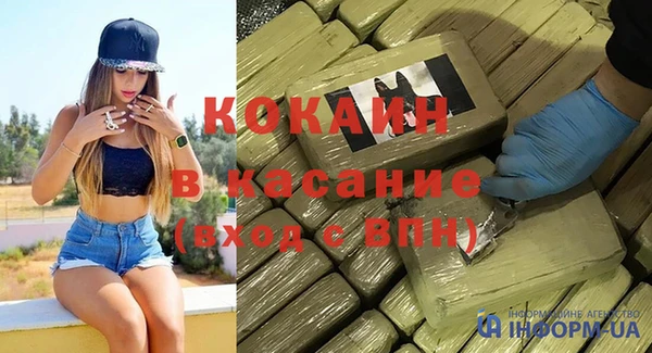 стаф Верея