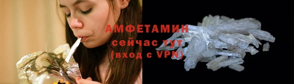 стаф Верея
